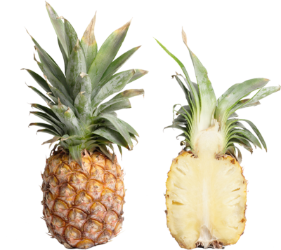 Pineapple Psd - Double Pineapple Samsung Galaxy S5 Slim Case (400x357)