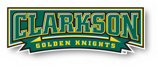 Phoenix Design Works Creates Word Mark Logos As Part - Wincraft Clarkson Golden Knights 27'' X 37'' Vertical (600x302)