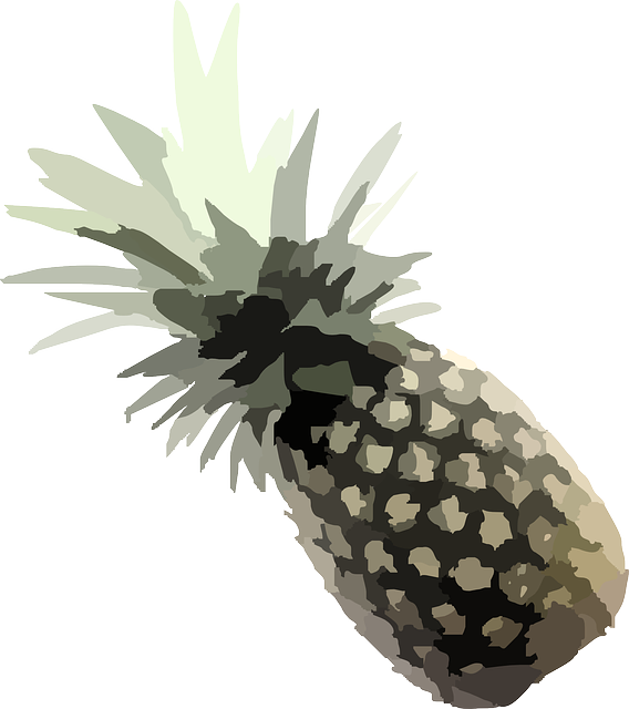Source - Www - Clker - Com - Report - Pineapple Vector - Pineapple Clip Art (568x640)
