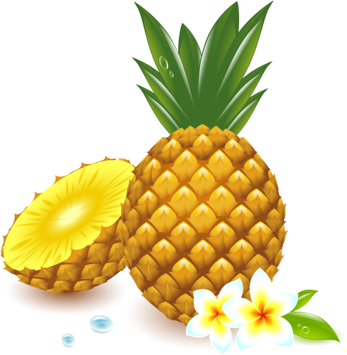 ผลการค้นหารูปภาพสำหรับ คลิปอาร์ตการ์ตูน ผลไม้ - Pineapple Vector (489x500)