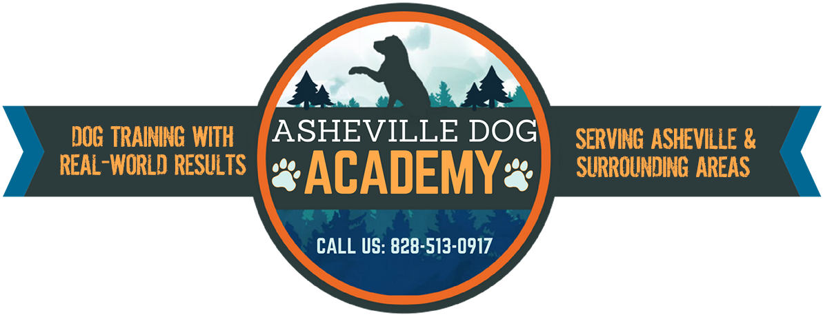 Asheville Dog Academy - 3w Academy (1200x480)