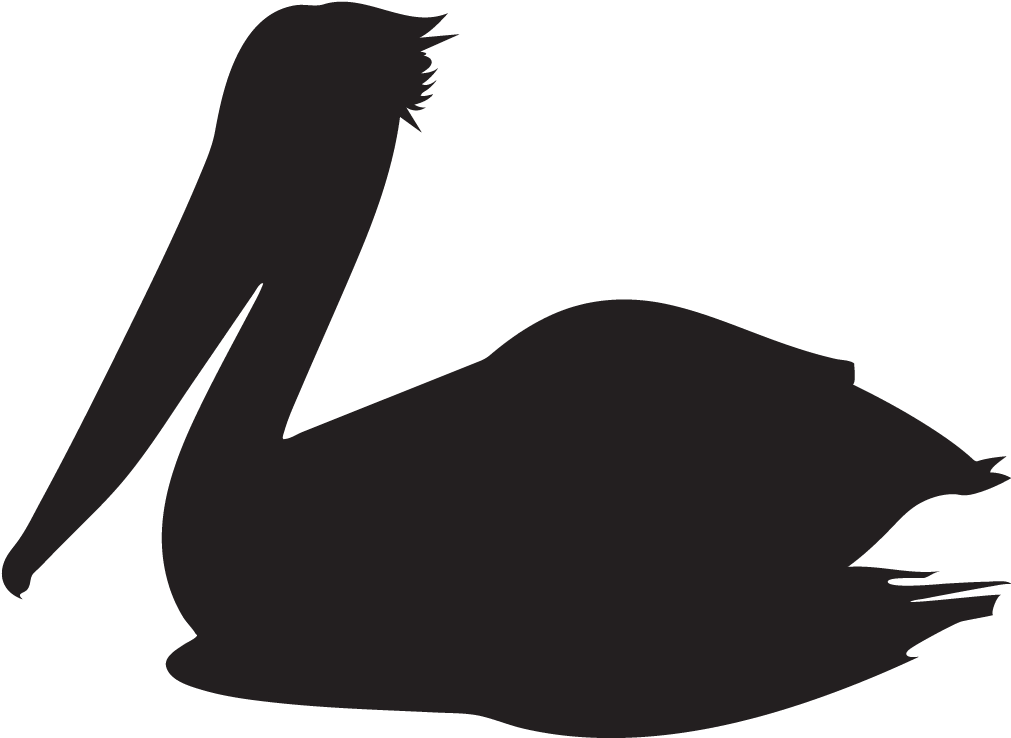 Brown Pelican Overview, All About Birds, Cornell Lab - Pelican Black (1024x1024)