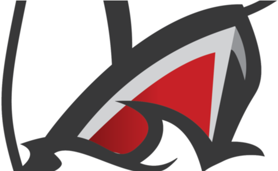 The Frazee Fly Girls Swept Both Dance Competitions - Detroit Lakes High School (620x349)