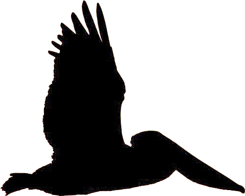 Clo710 122 Transcriptpic5 En-us - Raven (532x432)