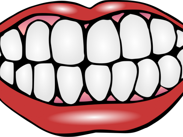 Fangs Clipart Clip Art - Cartoon Image Of Teeth (640x480)