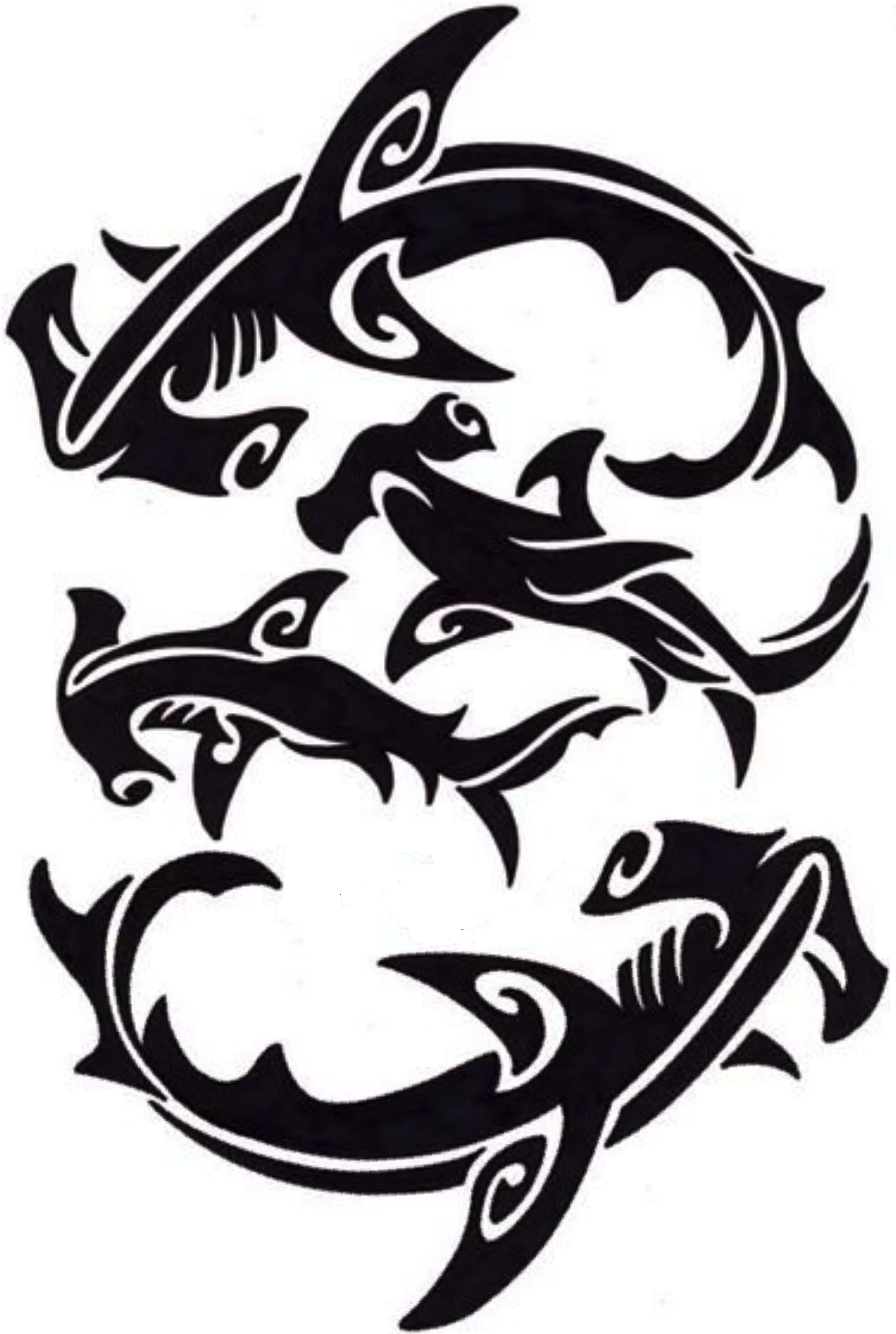 Hummer-head Family - Tattoo (1409x2106)