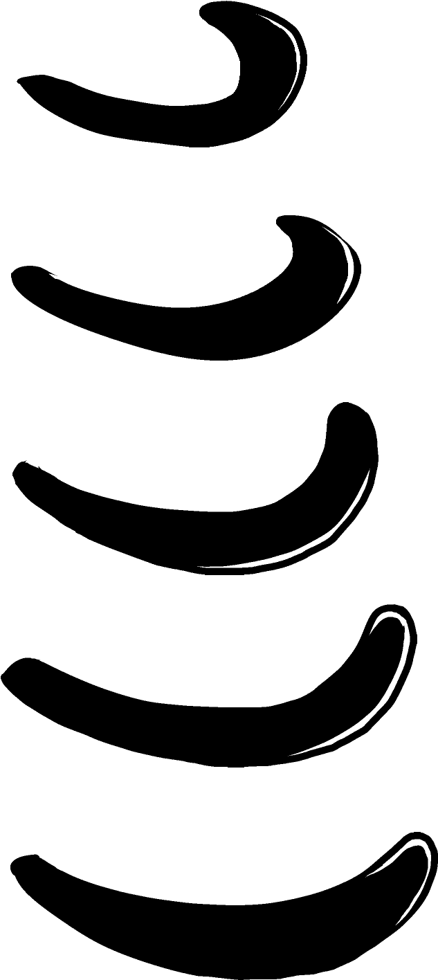 Tail And Cat's Window - Crescent (642x1425)