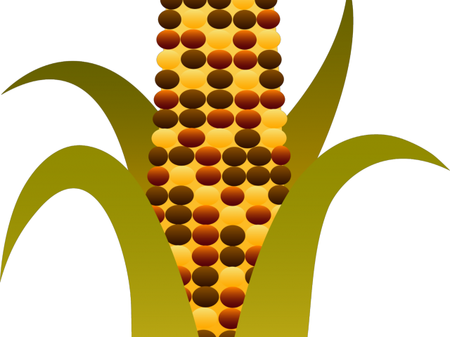 Popular Cliparts Page 2848 Dumielauxepices Net Rh Dumielauxepices - Indian Corn Clip Art (640x480)