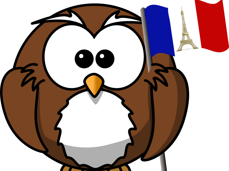 Probability Class Game By Chaseleamaths - Cartoon Owl Shower Curtain (800x599)