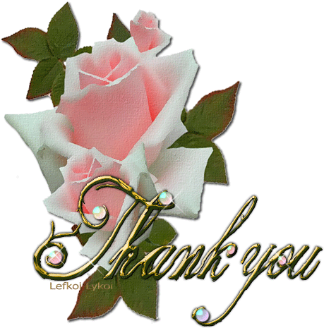 Thank You For Following Me And Sharing Beautiful - Beautiful Thank You Gif (506x534)