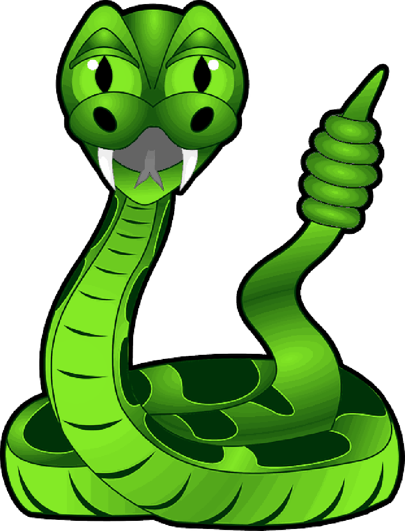 Rattlesnake, Reptile, Snake, Toxic, Animal, Dangerous - Rattlesnake Cartoon (800x1049)