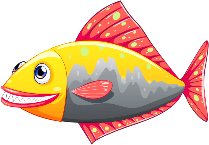 ○•‿✿⁀ocean Safari‿✿⁀•○ - Immagini Disegno Pesce Colorato (800x529)