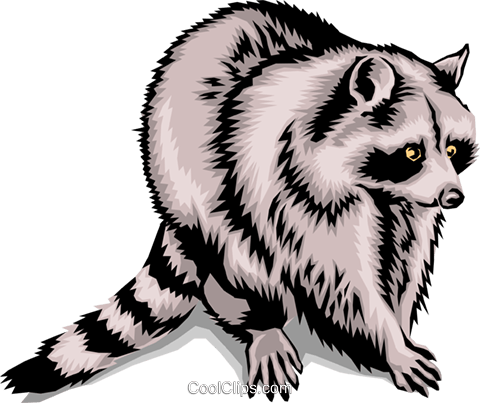 Raccoon Clip Art At Clker - Clip Art Racoon (480x403)