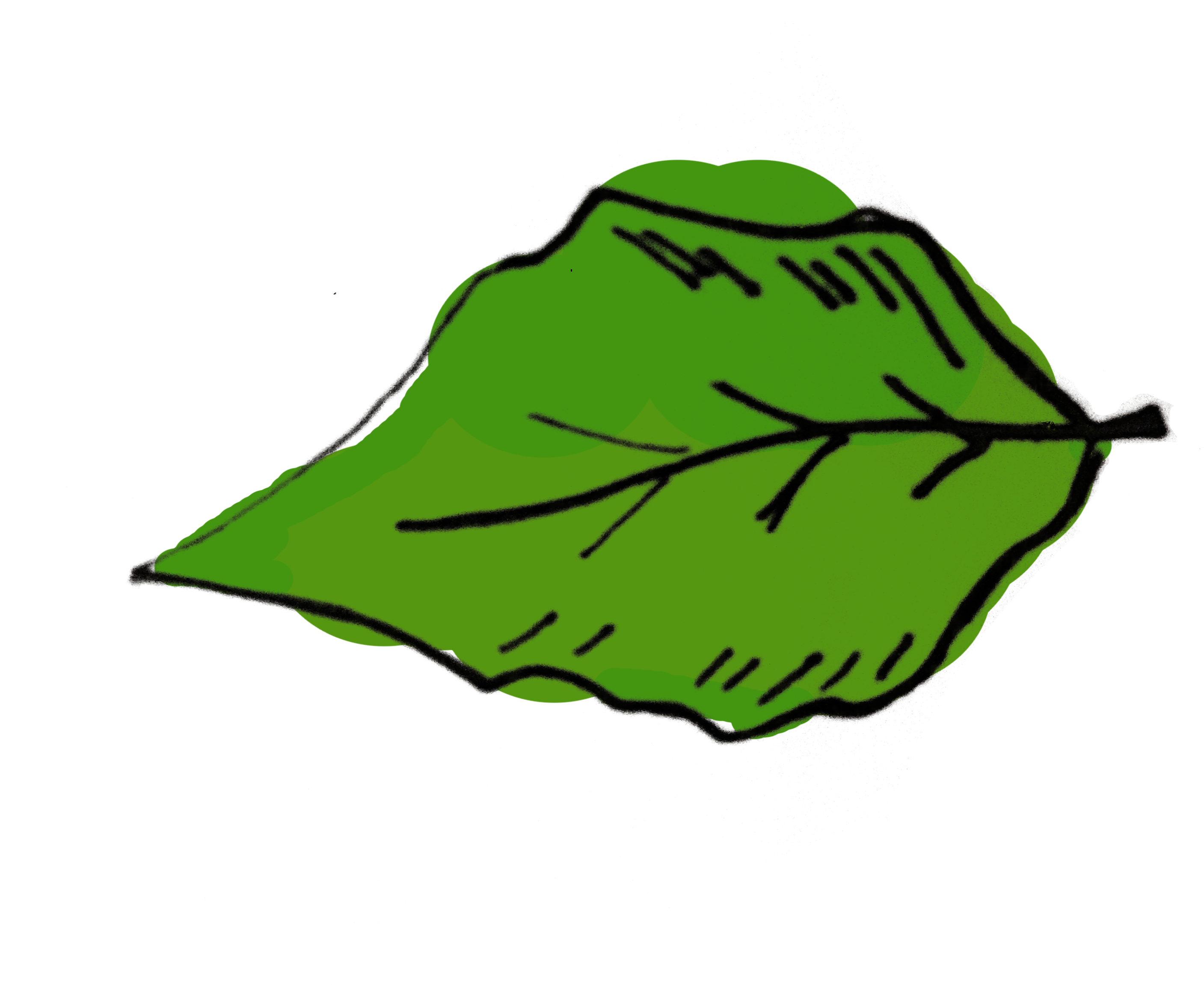 An Empty Flower Pot Is Presented, And The User Simply - An Empty Flower Pot Is Presented, And The User Simply (3264x2448)