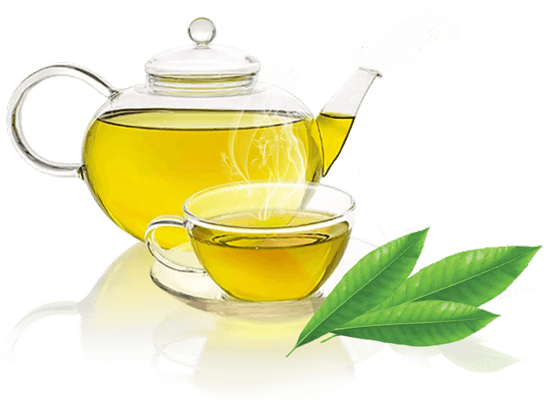 Oudh Tea - Benefits Of Green Tea Banners (650x483)