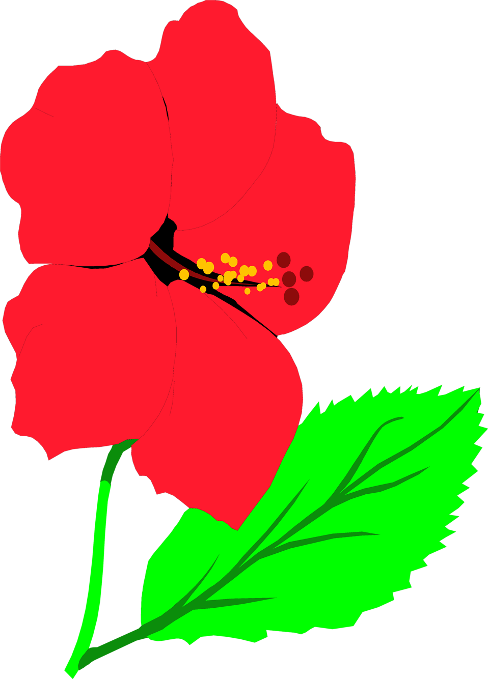Illustration Of A Red Hibiscus Flower - Clip Art (958x1334)