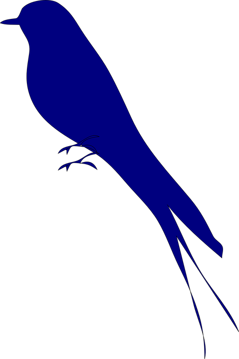 Navy Clipart Bird - Bird Silhouette (479x720)