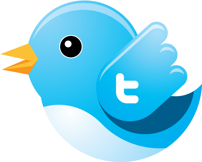 Songbird Clipart Twitter - Twitter Bird Vector (700x568)