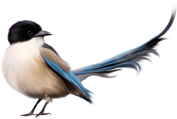 Pájaro Con La Cola Azul Png Imágenes Prediseñadas Imagen - Friend Beautiful Quotes Fb (600x442)