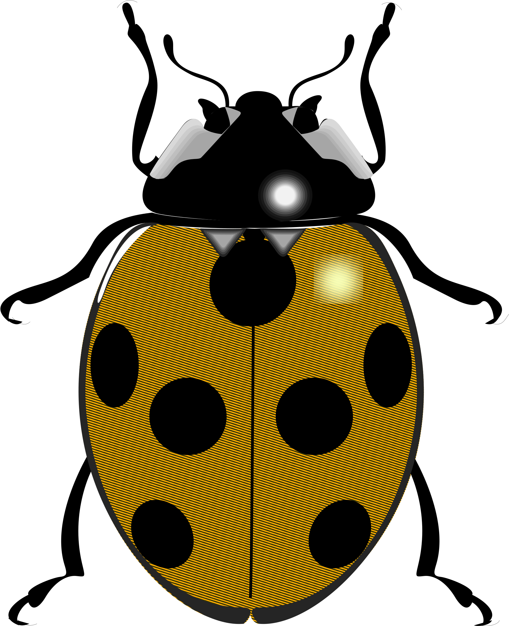 Open - Black And White Ladybug (2000x2484)