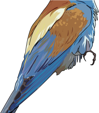 Songbird Clipart Bee - European Bee Eater Tote Bag, Adult Unisex, Natural (640x480)