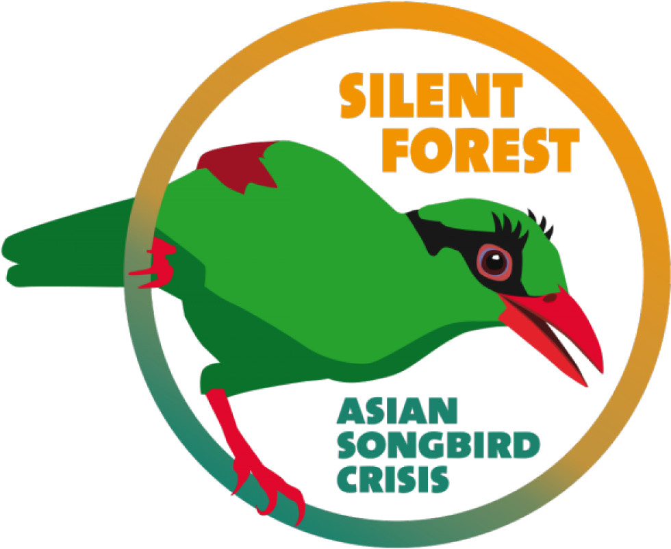 Silent Forest 600 - Silent Forest Eaza (1000x827)