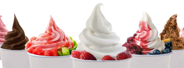 With The Era Of Frozen Yogurt We Have Developed A Product - Frozen Yogurt (600x224)