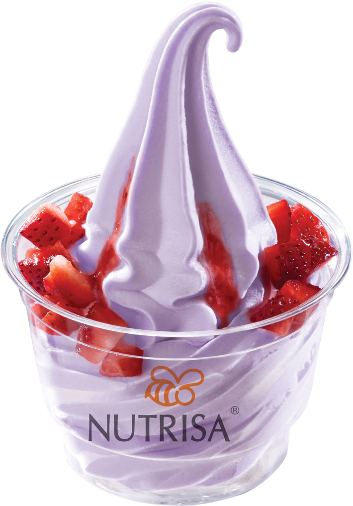 Hs Sencillo Taro - Exotic Shorthair (886x1178)