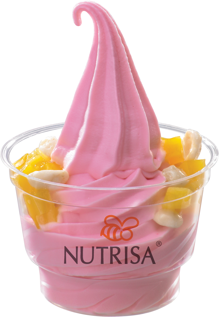 Hs Sencillo Ara´ndano - Frozen Yogurt (905x1181)
