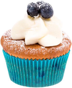 Blueberry - Online Shopping (455x478)