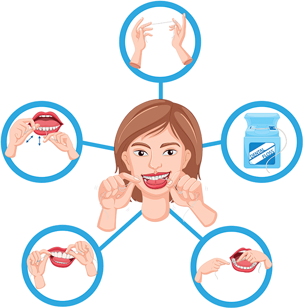 Proper Flossing Technique - Flossing Teeth Cartoon Png (600x614)