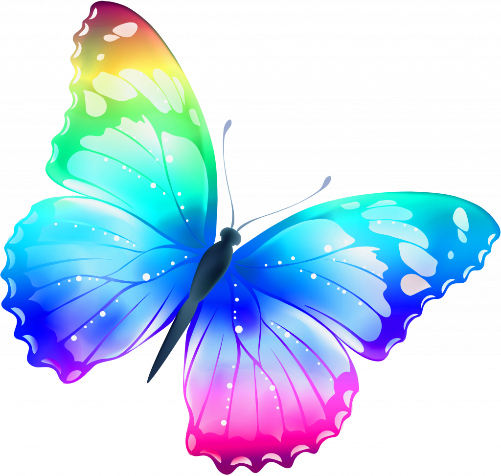 Monumental Images Of Butterflys Free Pictures Butterflies - Rainbow Butterfly Greeting Cards (1024x973)