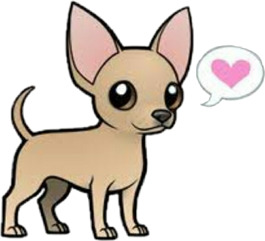 Rainbow Chihuahua (528x480)