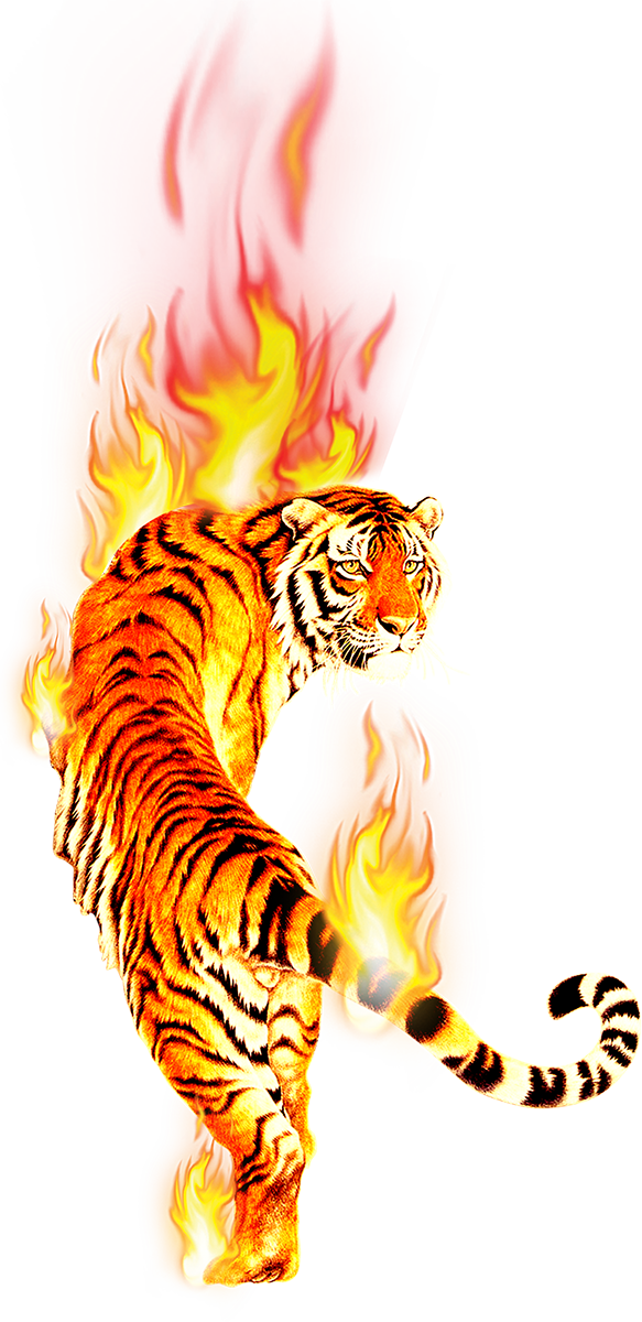 Tiger Desktop Wallpaper Clip Art Portable Network Graphics - 5d Diamond Stitch New Living Room Painted Animal Tiger (583x1200)