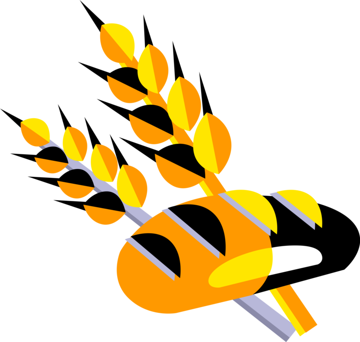 Vector Illustration Of Fresh Baked Bread With Wheat - Grain Clip Art (737x700)