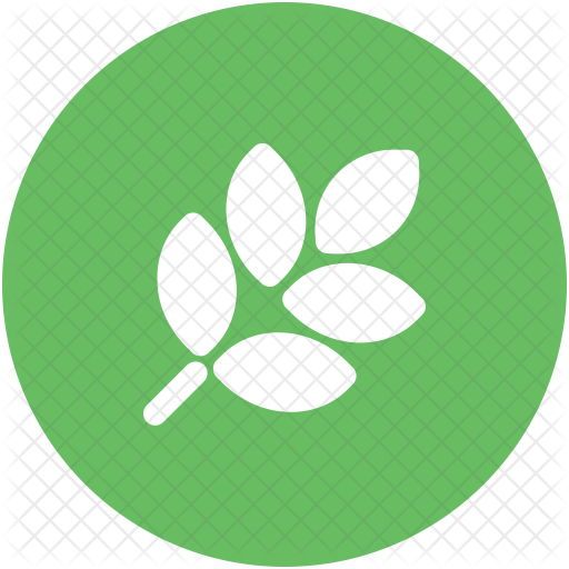 Wheat Icon - Wheat (512x512)