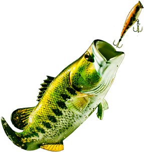 Bass Jumping Transparent (891x373)