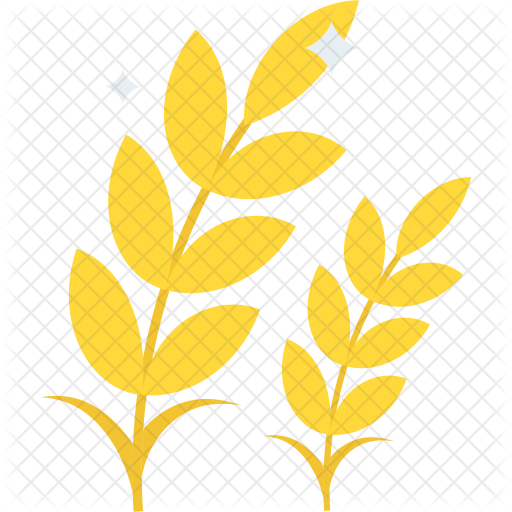 Wheat Icon - Wheat (512x512)