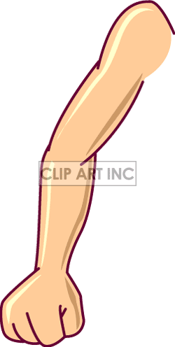 28 Collection Of Arm Clipart For Kids High Quality, - Arm Clipart (250x496)