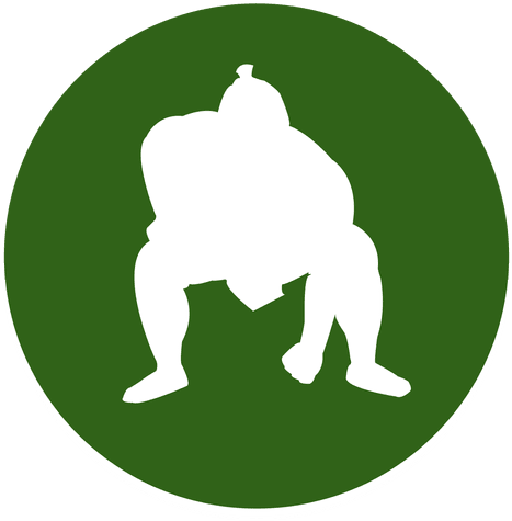 Sumo Circle Icon Transparent Png - Illustration (512x512)