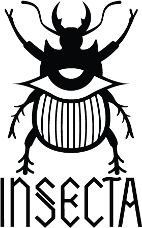 Insecta Shoes - Insecta Shoes (300x453)