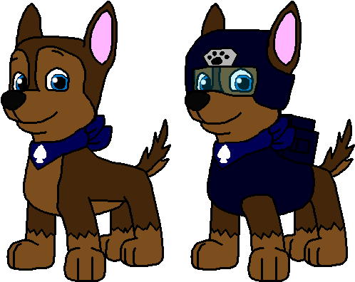 Luke The Show Pup By Wolf Prince Leon - Gray Wolf (517x397)
