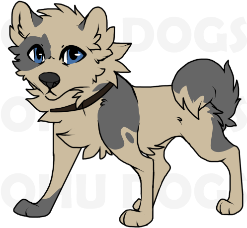 Wolf Dog - Leo (500x500)