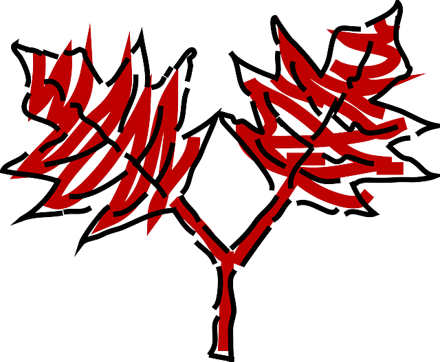 Two, Tree, Plant, Vine, Leaves, Bush, Shrub - Leaf (640x527)