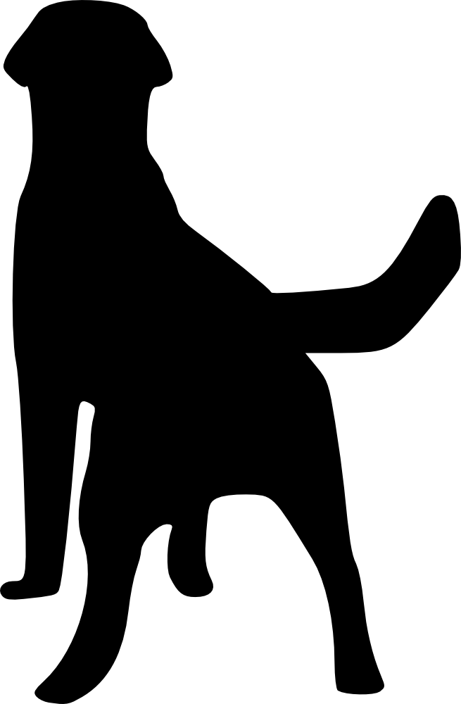 Free Download - Portable Network Graphics (655x1000)