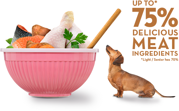 Naturally Tastier - Dog Food (720x460)