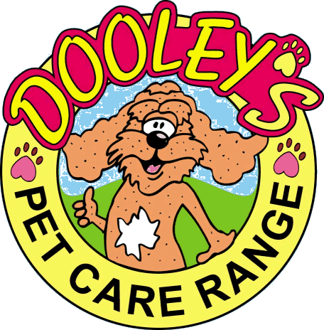 Products - Franklin Pierce Dollar Coin (456x464)