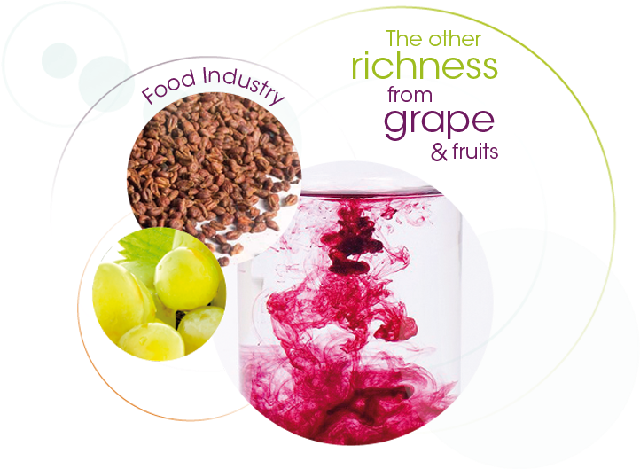 Natural Red Colouring - Grape (759x629)