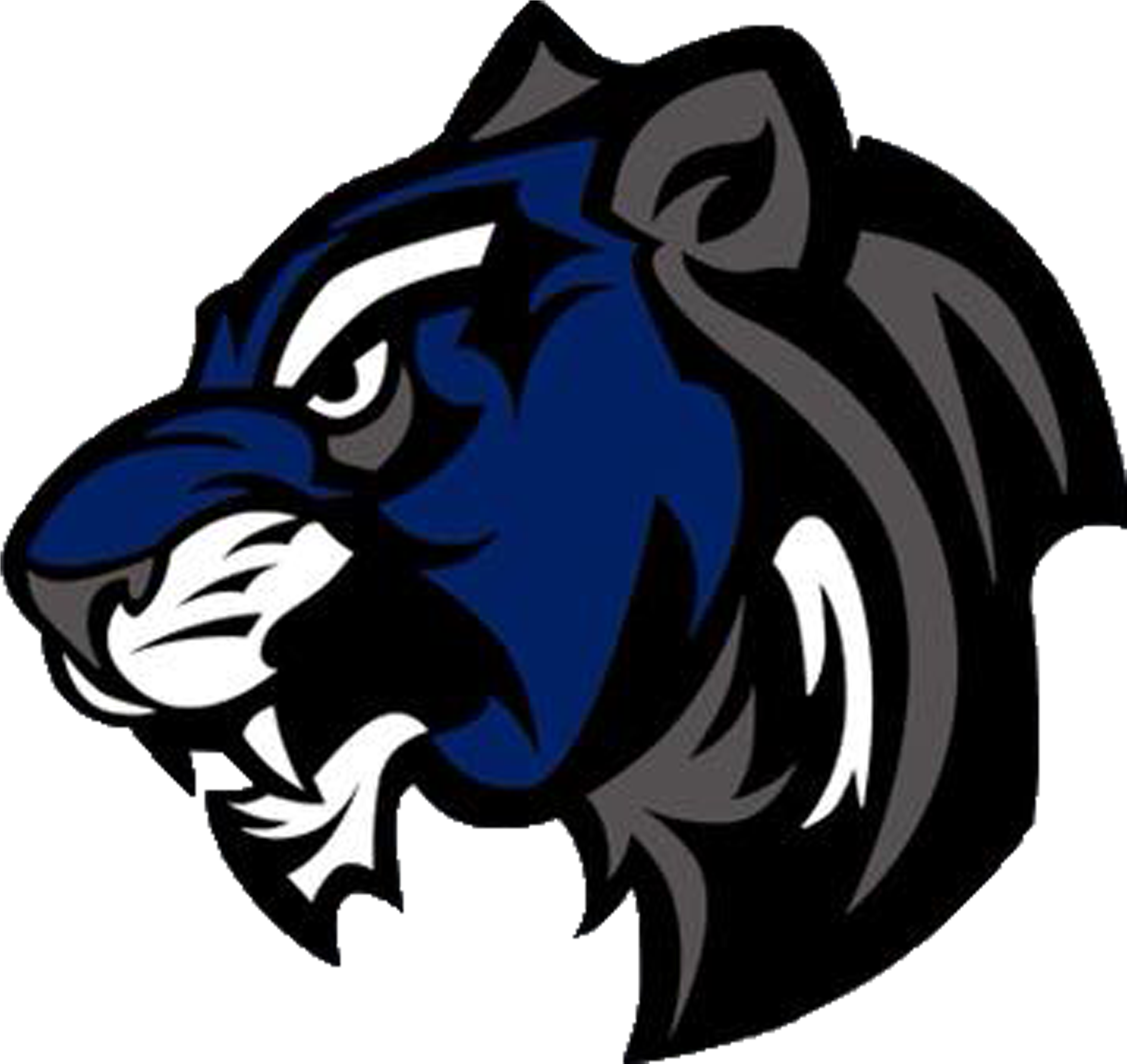 Mt Lions @ Shock (5 2) - Wildcat Mascot (3000x3000)