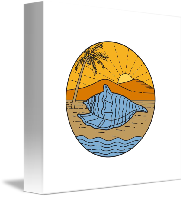 Mono Line Style Illustration Foa Conch Shell Layin - Tritonshorn-muschel Auf Keramik Stern-ornament (606x650)